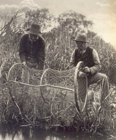 Colocando la Red de Arco, Vida y Paisaje en los Norfolk Broads, c.1886 de Peter Emerson und Thomas Goodall